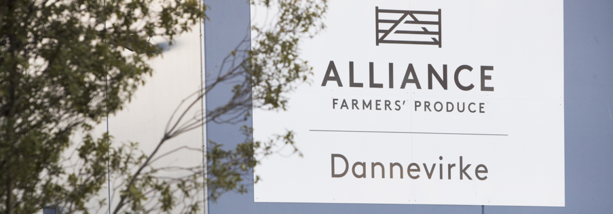 Alliance Group Plant, Dannevirke